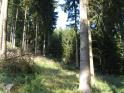 Bilder privat 098